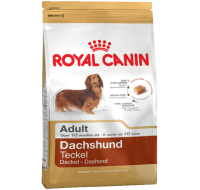 Dachshund Royal Canin
